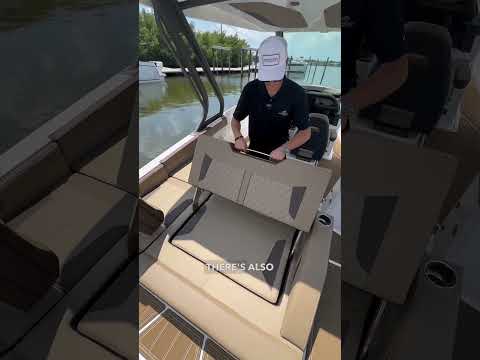 IIQ - Video